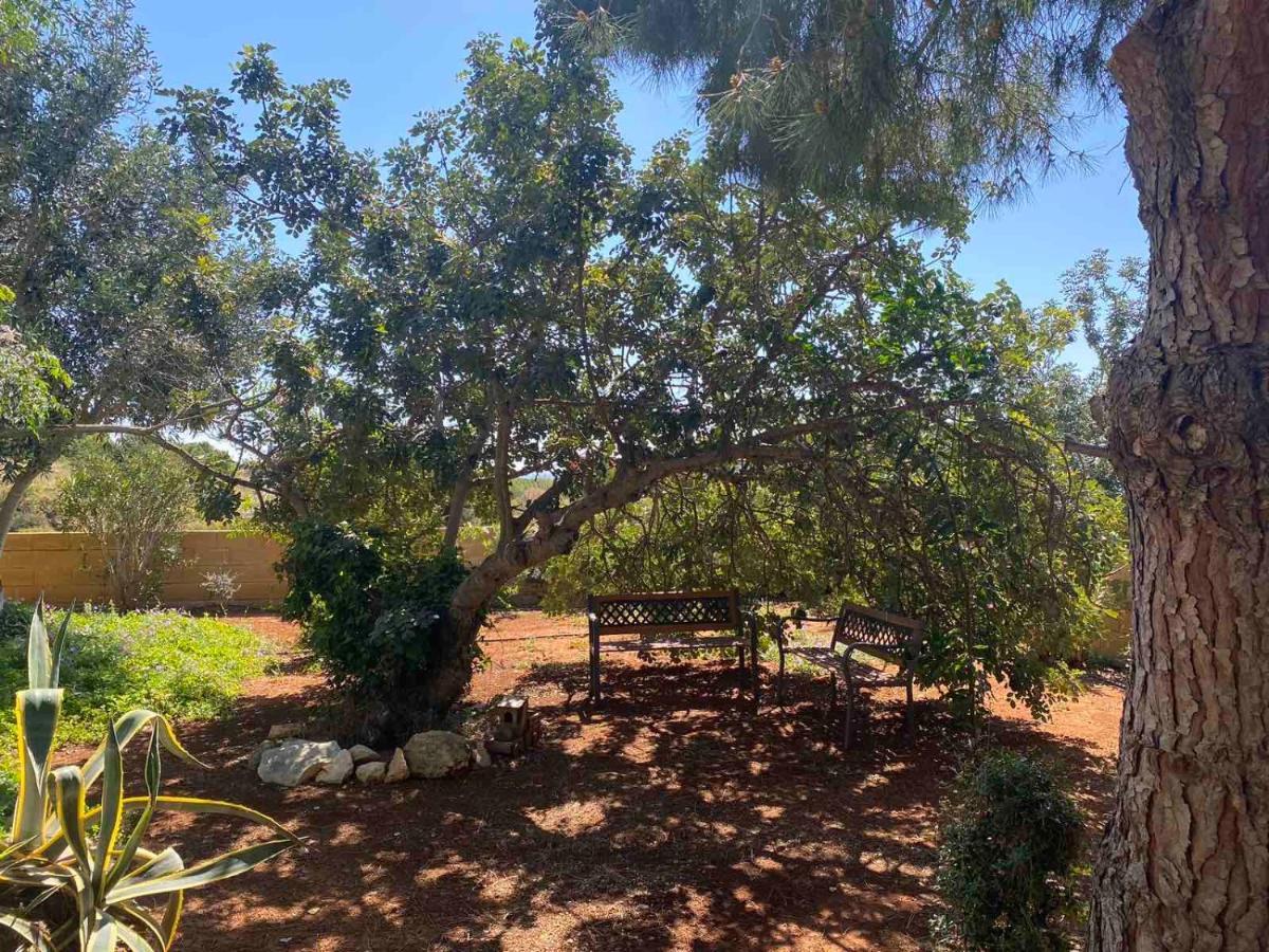 Konnos Villa Protaras Bagian luar foto